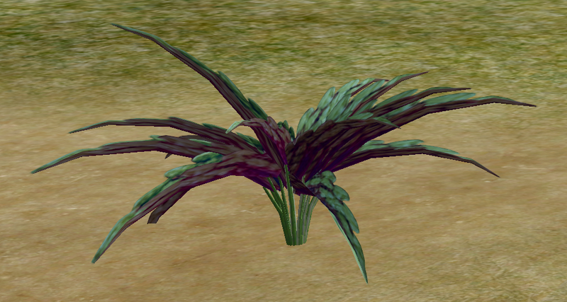 File:Herbs Tsatso.png