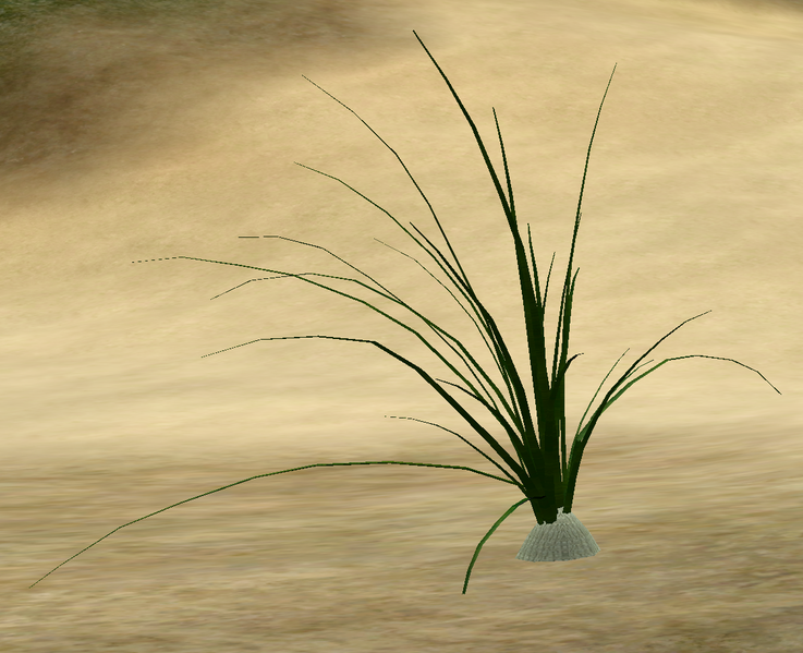 File:Herbs WildOnion.png