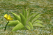 Thumbnail for version as of 13:29, 7 March 2019