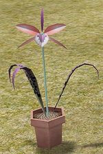 Hidden in the Darkness