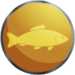 Icon - Fly Fishing.png