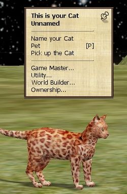 Name Your Cat Message.jpg