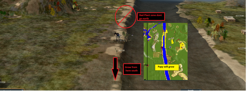 File:Papy growing spots at camp.png