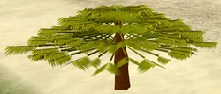 Tree-1-AcaciaSapling.png