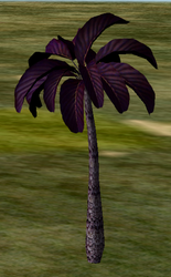 Tree-1-AshPalm.png