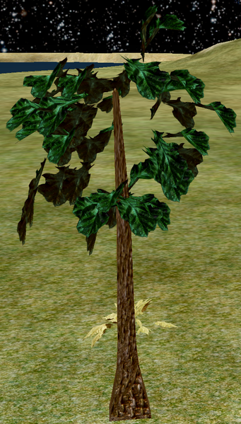File:Tree-1-Beetlenut.png