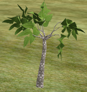 Tree-1-FoldedBirch.png