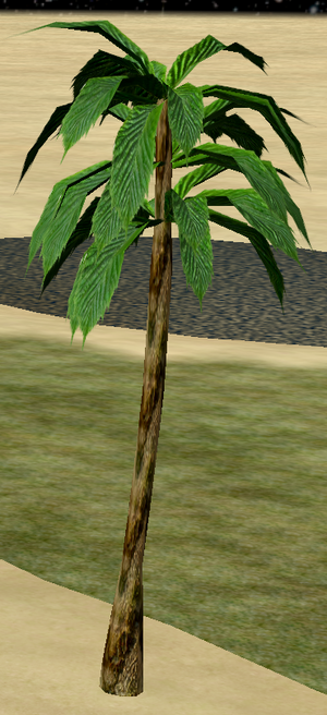 Tree-1-OilPalm.png