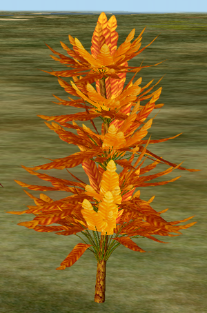 Tree-1-Oranje.png