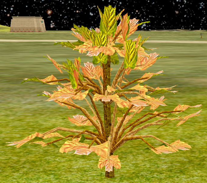 File:Tree-1-PeachNCreamMapleSapling.png