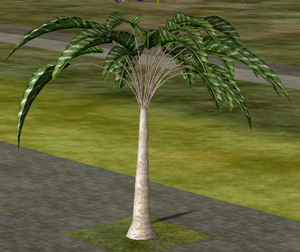 Tree-1-Pratyeka.png