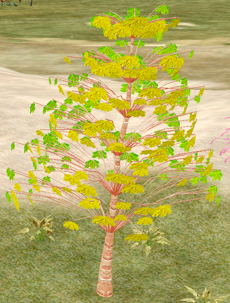 File:Tree-1-RiverBirch.png