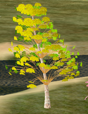Tree-1-RiverBirchYouth.png