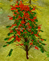 Tree-1-SummerMaple.png