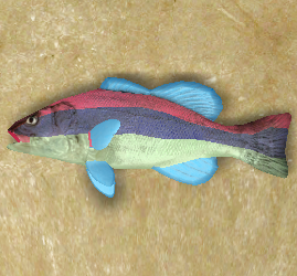 OrangeSpongefish.png