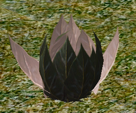 Herbs MiniatureLamae.png