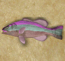 Razorfin.png