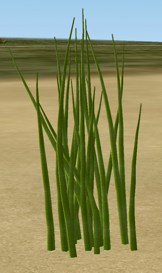 Herb/Chives - A Wiki in the Desert