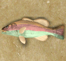 Carp.png