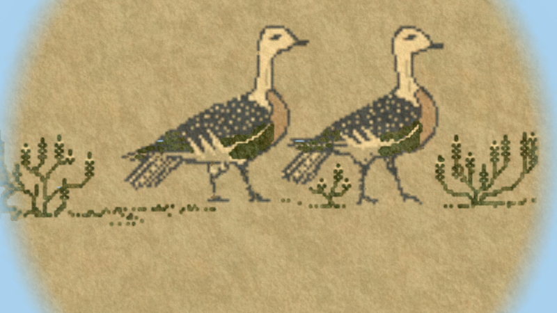 File:DesertPigeons.png