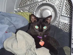 FB IMG 1626382101274.jpg