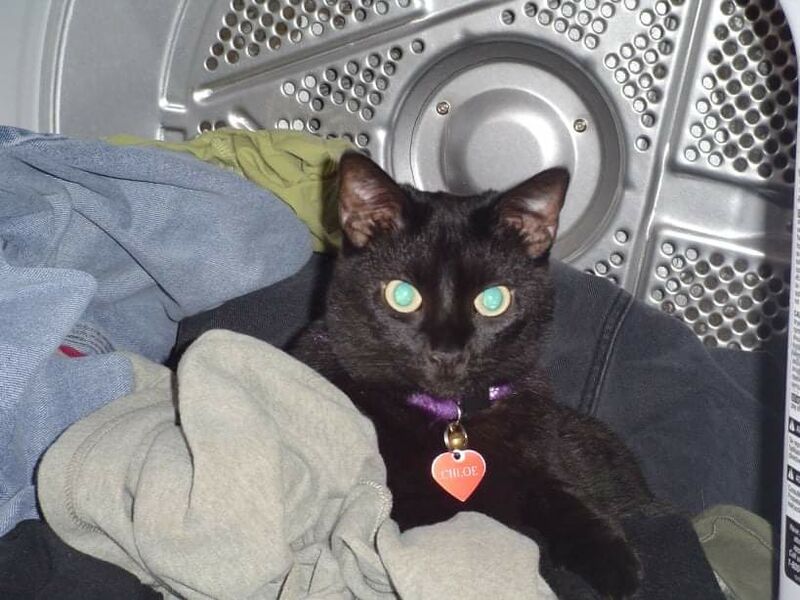 File:FB IMG 1626382101274.jpg