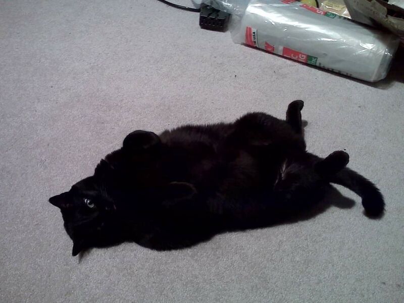 File:FB IMG 1626382106595.jpg