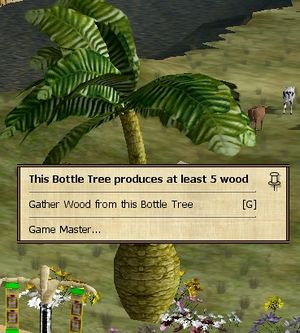 Gather Wood.jpg