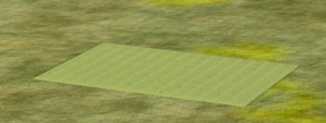 Grass field.png