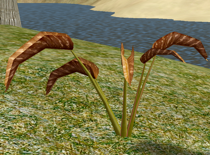 File:Herbs Allbright.png