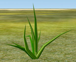 Herbs Aloe.png