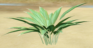 Herbs AltarsBlessing.png