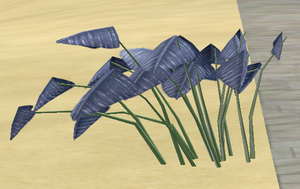 Herbs BluebottleClover.png