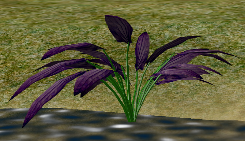 File:Herbs Corsacia.png