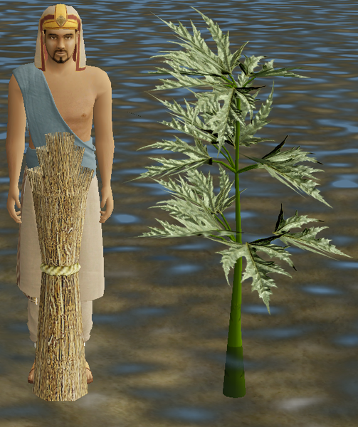 File:Herbs DwarfHogweed.png