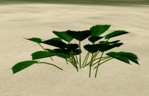 Herbs Fool'sAgar.png