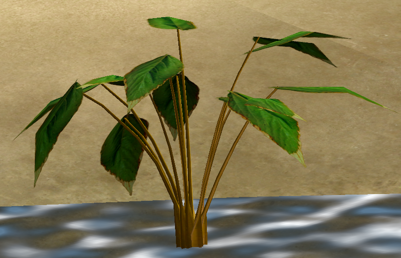 File:Herbs GinsengRoot.png