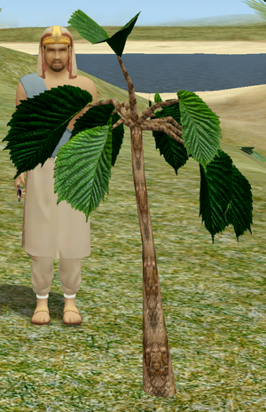 Herbs HeadacheTree.png