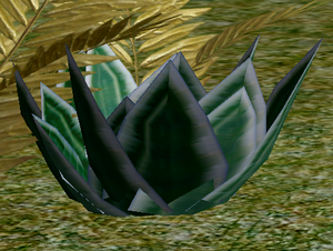 Herbs Houseleek.png