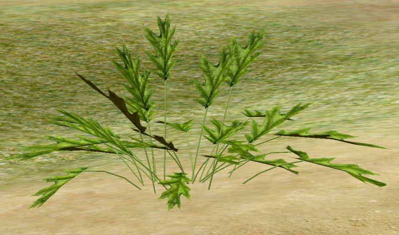 File:Herbs Larkspur.png