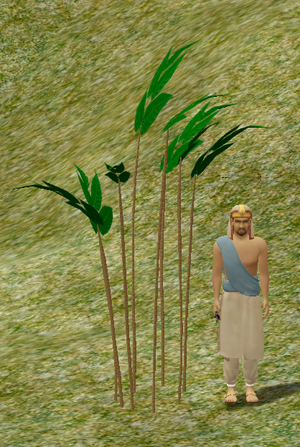 Herbs MiniatureBamboo.png