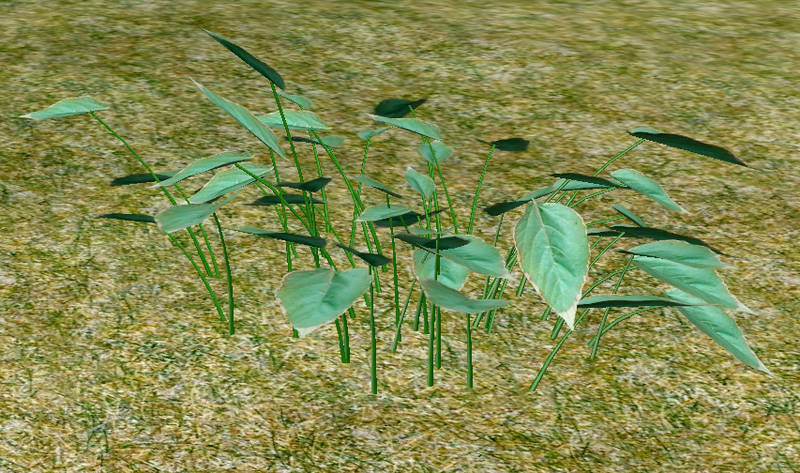 File:Herbs MountainMint.png