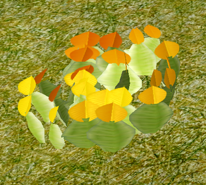 Herbs OrangeNasturtium.png