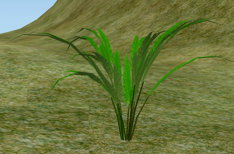 File:Herbs Panoe.png