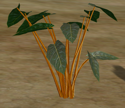 Herbs Sandalwood.png