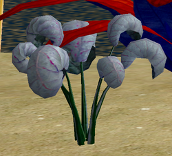 Herbs SkyGladalia.png
