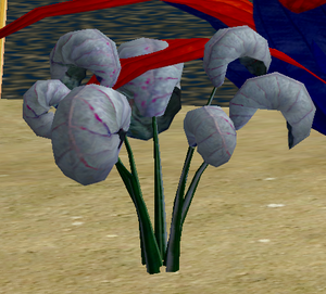 Herbs SkyGladalia.png