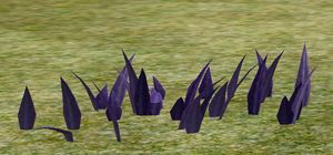 Herbs SteelBladegrass.png