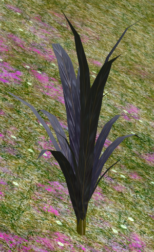 Herbs SugarCane.png