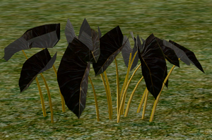 Herbs TrueTarragon.png